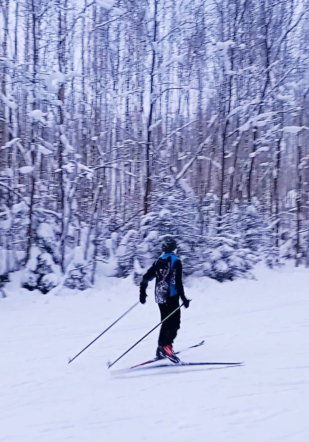 Ромахин Даниил Максимович