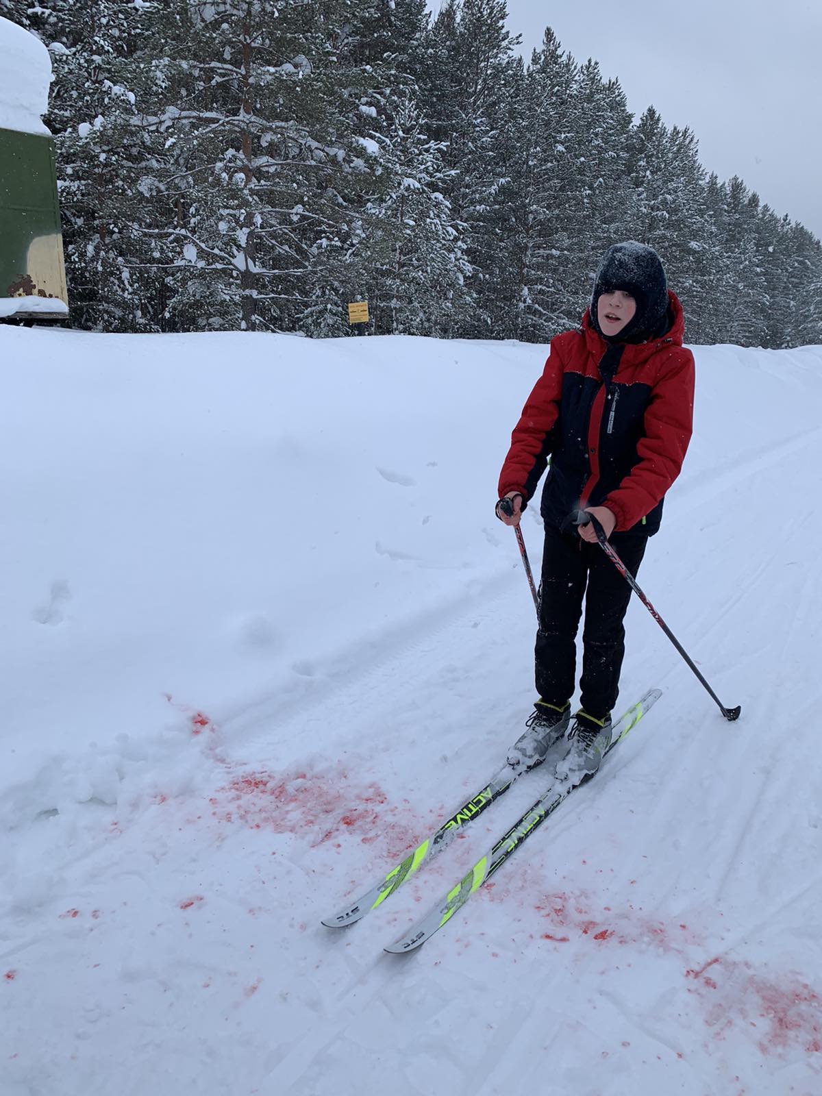 Трушников Кирилл Владимирович