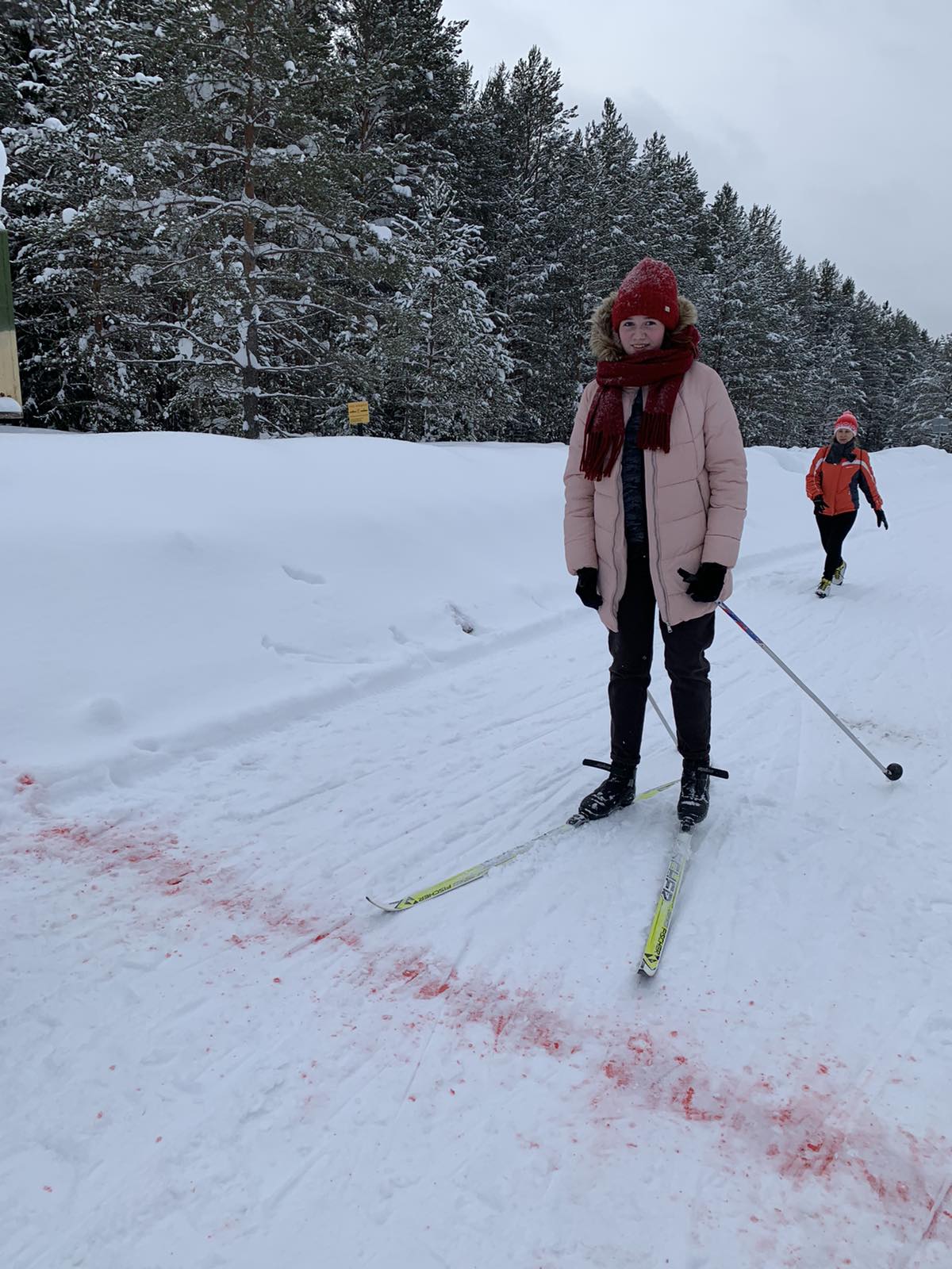 Шефер Альбина Владимировна