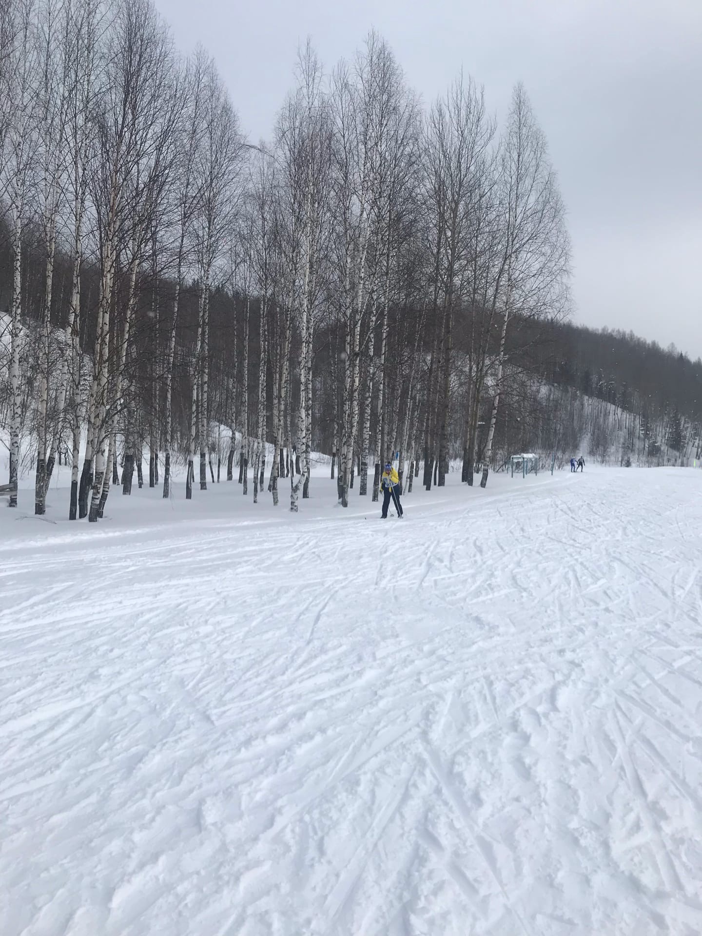 Афросин Иван Сергеевич